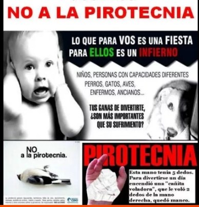 En este momento estás viendo “En Pinamar está prohibida la venta y uso de pirotecnia” – Concejal Alejandra Apolonio